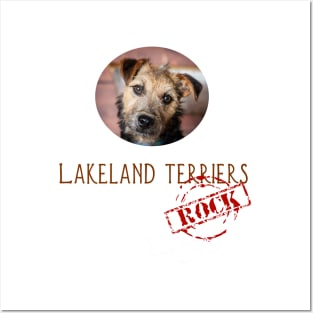 Lakeland Terriers Rock! Posters and Art